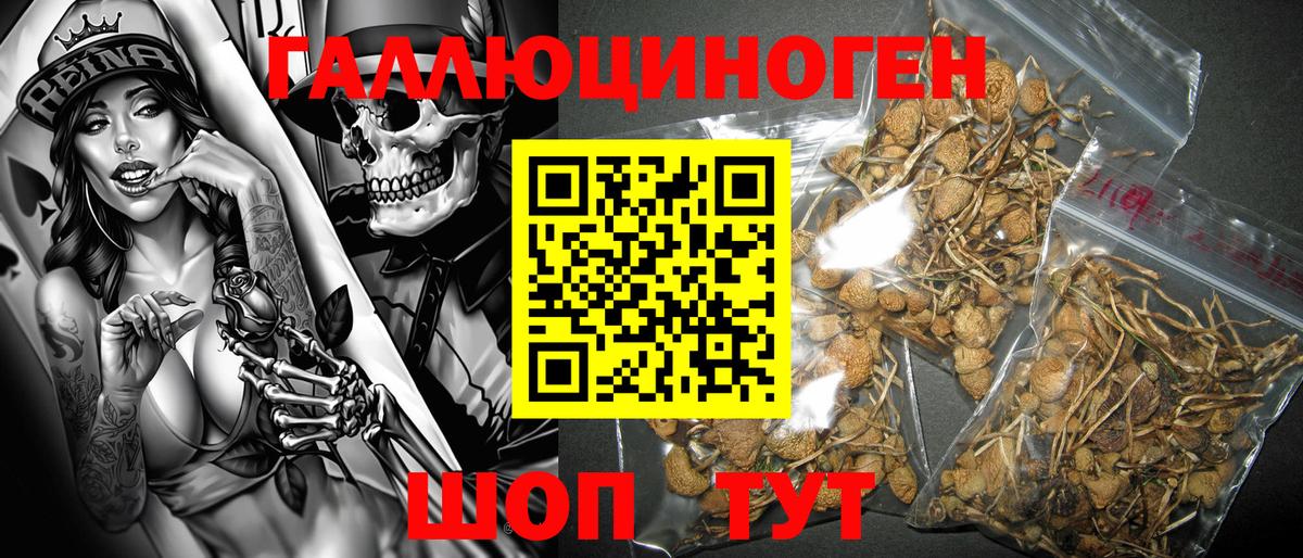 Псилоцибиновые грибы Magic Shrooms  Галлюциногенные грибы MAGIC MUSHROOMS  Рязань  Вход с VPN 